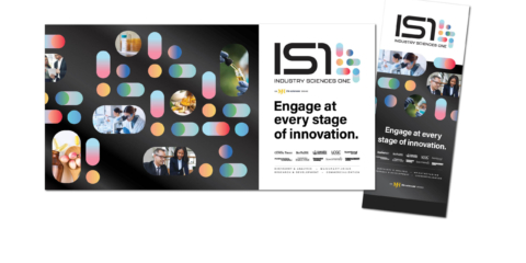 IS1 graphics_pullups scaled